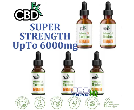 CBDfx Wellness CBD + CBG Oil Tincture 500mg, Wellness Strength: 500mg
